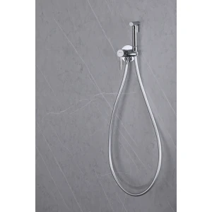 Смеситель ABBER Wasser Kreis AF8125 с гигиеническим душем